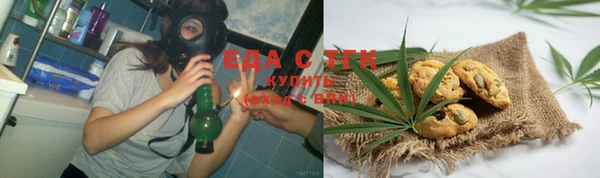 мдпв Богородицк