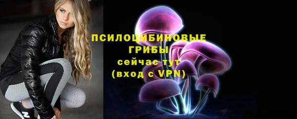 соль курить ск Богородск