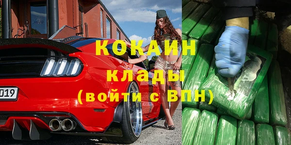 мдпв Богородицк