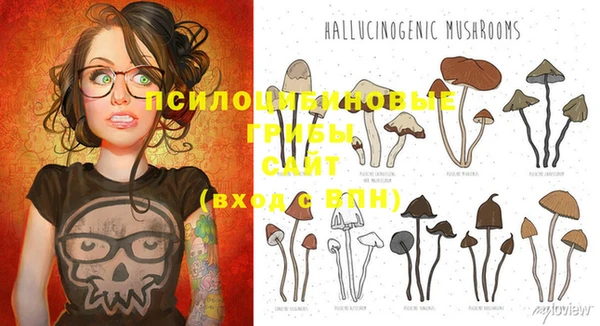 PSILOCYBIN Покров