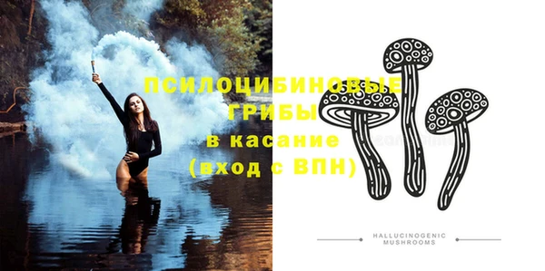 мдпв Богородицк