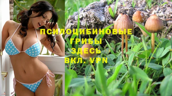 мет Белокуриха